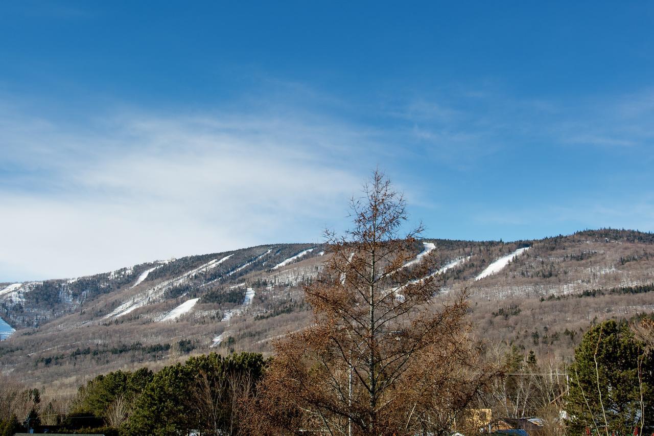 Le Vallon Saint-Ferreol-les-Neiges ภายนอก รูปภาพ